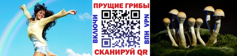 Галлюциногенные грибы MAGIC MUSHROOMS  Купить закладки  Мезень 